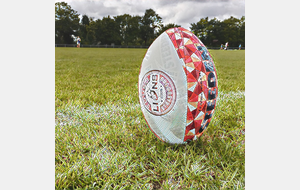 Stage Lions Strasbourg