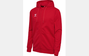 Veste zippée - Lions HOMME