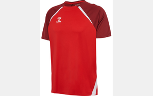 Maillot entraînement - Lions HOMME