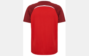 Maillot entraînement - Lions HOMME