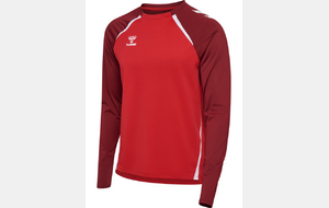 Sweat shirt - Lions HOMME