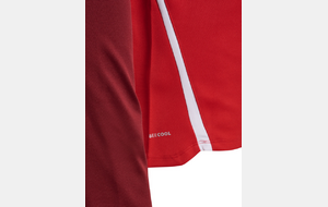 Sweat shirt - Lions ENFANT