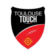 Toulouse - Lions